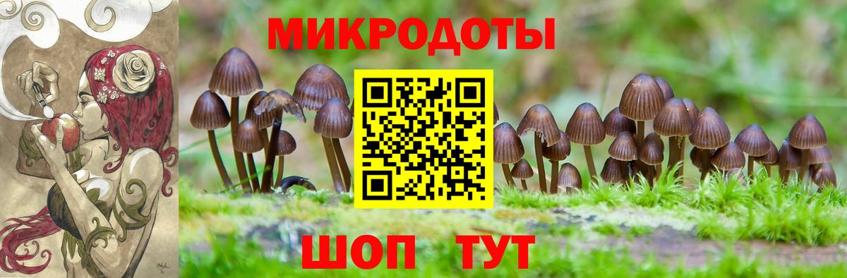 Псилоцибиновые грибы Magic Shrooms Воскресенск
